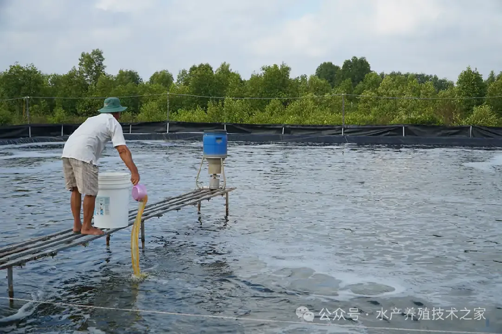 從精選到投喂，實現(xiàn)成本直降 20%